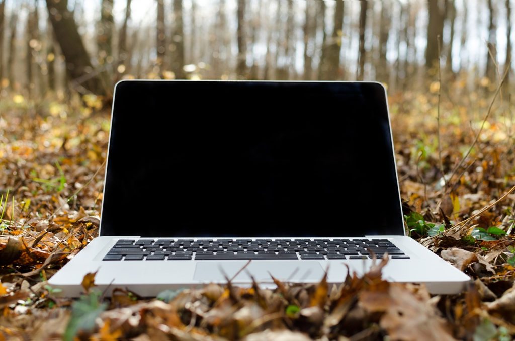ноутбук в осеннем лесу